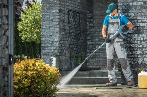 Best Soft Washing  in Silver Creek, NY
